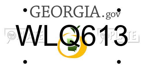 WLQ613 Georgia License Plate