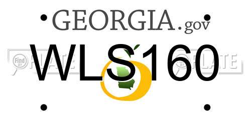 WLS160 Georgia License Plate
