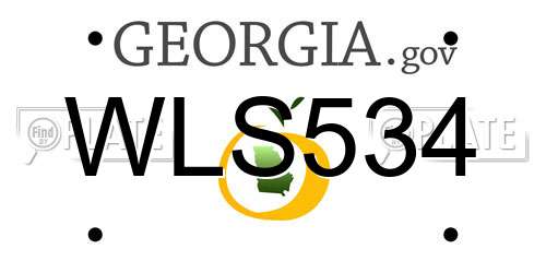 WLS534 Georgia License Plate