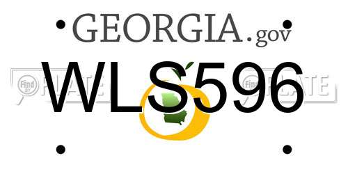 WLS596 Georgia License Plate