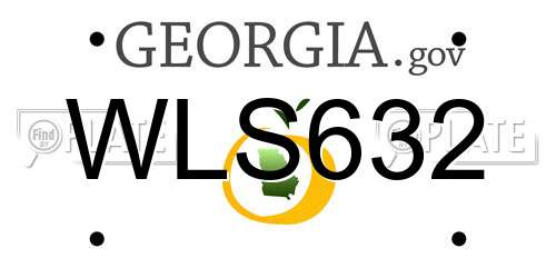 WLS632 Georgia License Plate