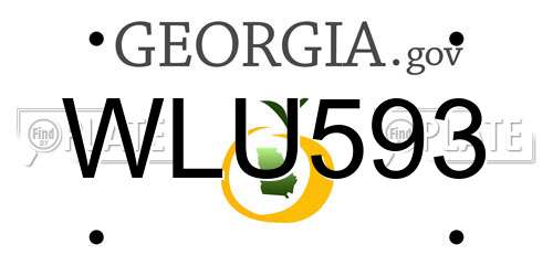 WLU593 Georgia License Plate