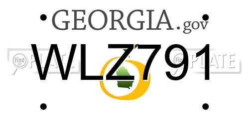 WLZ791 Georgia License Plate