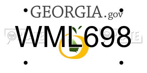 WML698 Georgia License Plate
