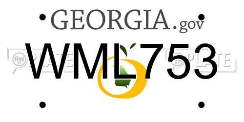 WML753 Georgia License Plate