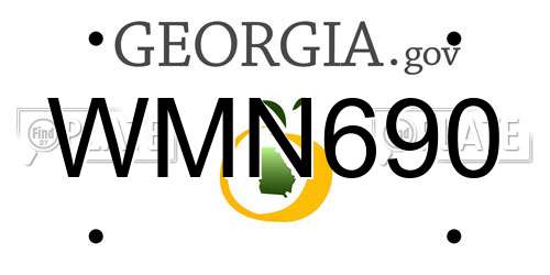 WMN690 Georgia License Plate