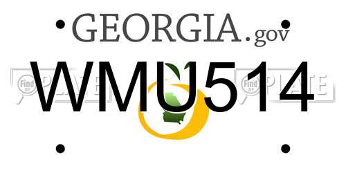 WMU514 Georgia License Plate