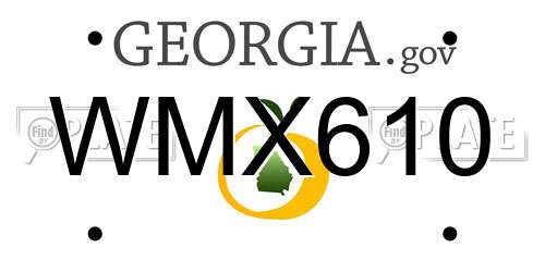 WMX610 Georgia License Plate