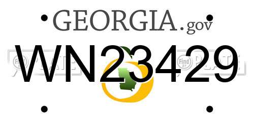 WN23429 Georgia License Plate