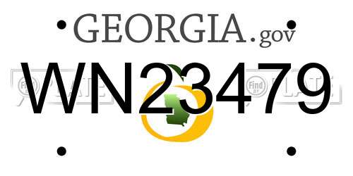 WN23479 Georgia License Plate