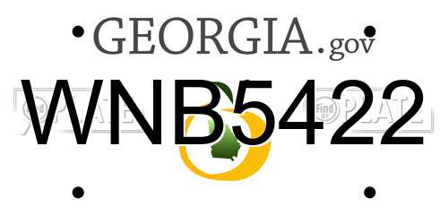 WNB5422 Georgia License Plate