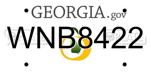 WNB8422 Georgia License Plate