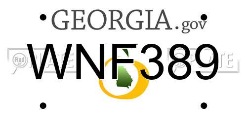 WNF389 Georgia License Plate
