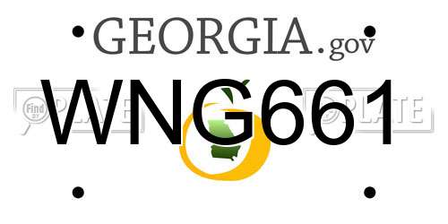 WNG661 Georgia License Plate