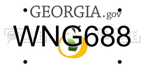WNG688 Georgia License Plate