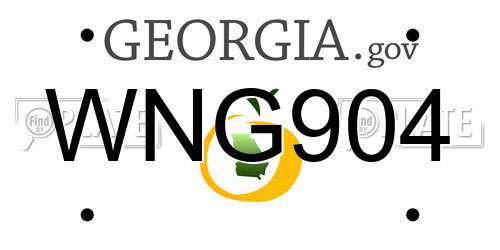 WNG904 Georgia License Plate