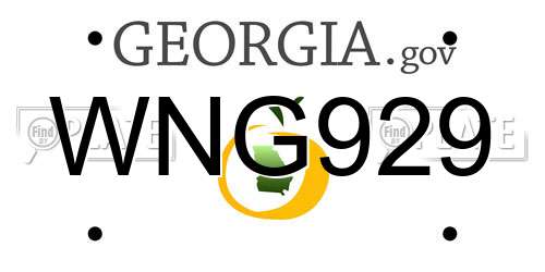 WNG929 Georgia License Plate