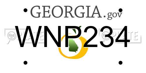 WNP234 Georgia License Plate