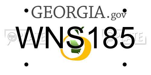 WNS185 Georgia License Plate