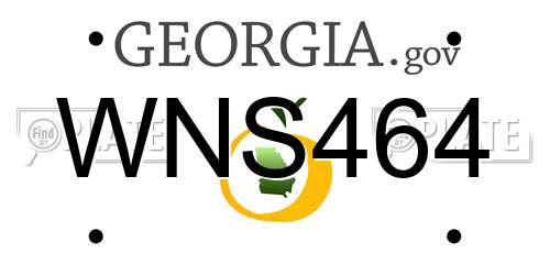 WNS464 Georgia License Plate
