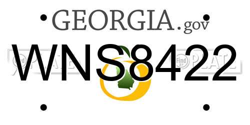 WNS8422 Georgia License Plate