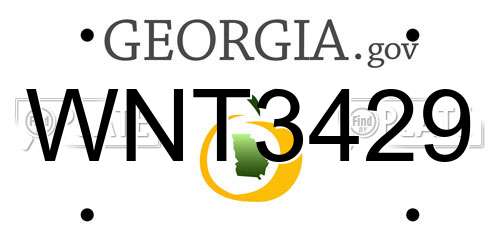 WNT3429 Georgia License Plate