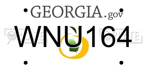 WNU164 Georgia License Plate