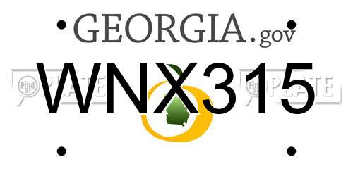 WNX315 Georgia License Plate