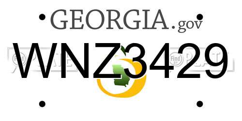 WNZ3429 Georgia License Plate
