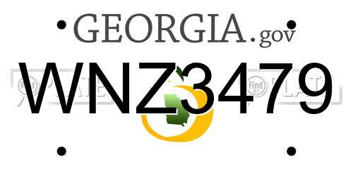 WNZ3479 Georgia License Plate