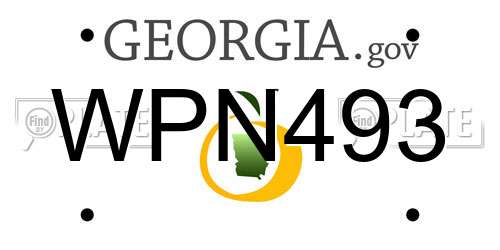 WPN493 Georgia License Plate