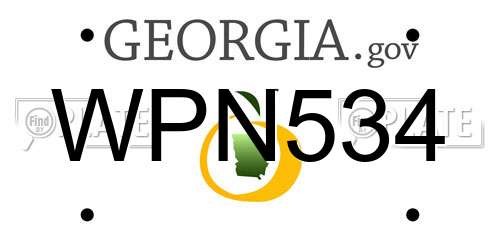 WPN534 Georgia License Plate