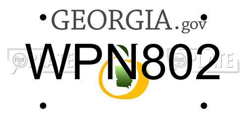 WPN802 Georgia License Plate