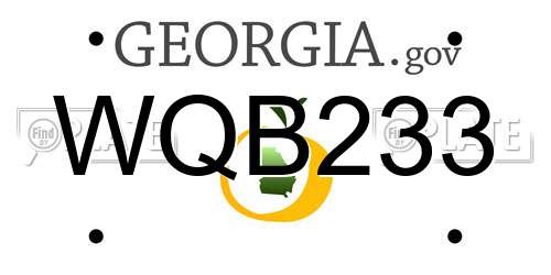 WQB233 Georgia License Plate