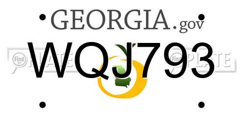 WQJ793 Georgia License Plate