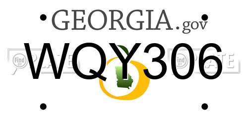 WQY306 Georgia License Plate