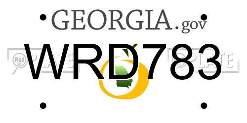 WRD783 Georgia License Plate