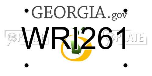 WRI261 Georgia License Plate