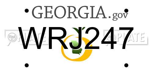 WRJ247 Georgia License Plate