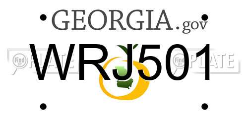 WRJ501 Georgia License Plate
