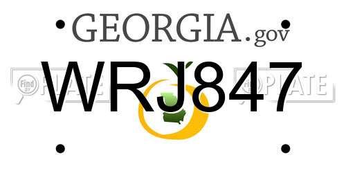 WRJ847 Georgia License Plate