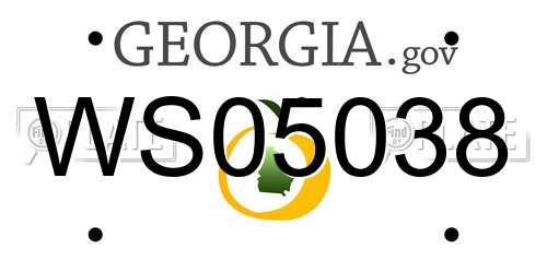 WS05038 Georgia License Plate