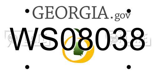 WS08038 Georgia License Plate