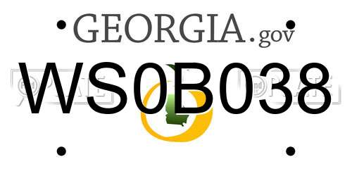 WS0B038 Georgia License Plate