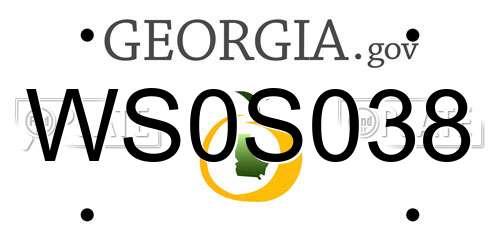 WS0S038 Georgia License Plate