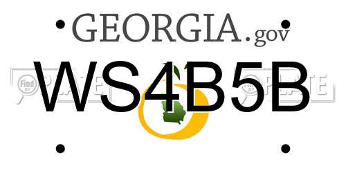WS4B5B Georgia License Plate