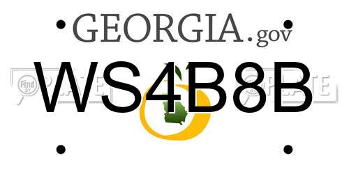 WS4B8B Georgia License Plate