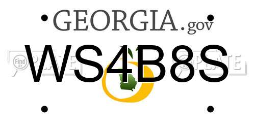 WS4B8S Georgia License Plate