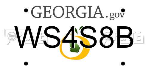 WS4S8B Georgia License Plate