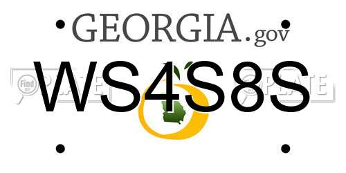 WS4S8S Georgia License Plate
